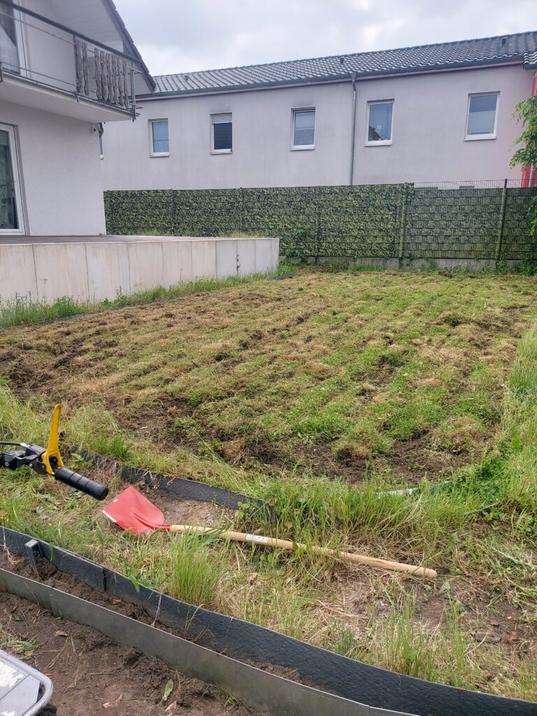Verwilderte Wiese, auf der später der Rollrasen verlegt werden soll.